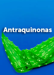 Antraquinonas del aloe vera