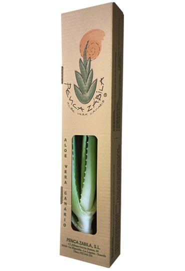 Planta viva de Aloe Vera canario Barbadensis Millar Canariensis
Caja color Multilingüe con ventana e información sobre usos y tratamientos.
Dimensiones planta +-60 cm
Peso Neto: 700 g.